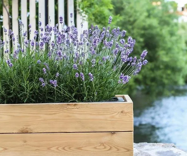 Apartman Domecek / Tiny House Český Krumlov